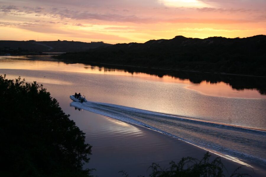 Port Elizabeth: 2-Day Addo Elephant Park Safari - The guides make a real difference