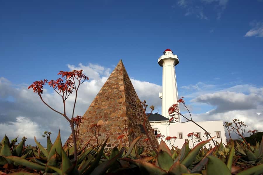Port Elizabeth: 4x4 Wildlife Safari & City Sightseeing Tour - One day, three sides of Port Elizabeth