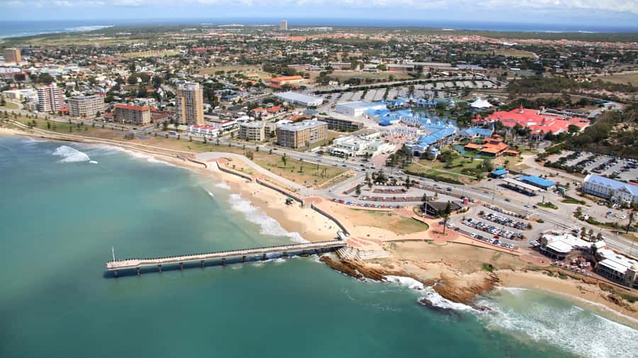 Port Elizabeth: 4x4 Wildlife Safari & City Sightseeing Tour - Meeting rescued penguins at SANCCOB