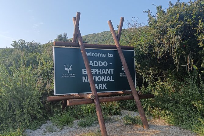 Port Elizabeth Addo Elephant National Park All Inclusive Safari - Main Camp lunch and a useful pause