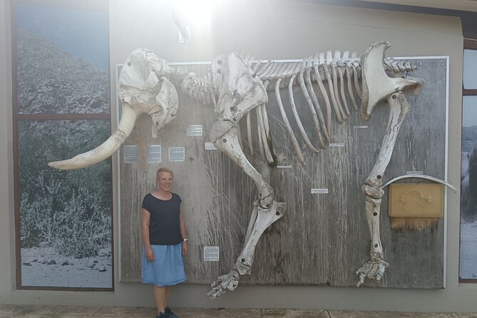 Port Elizabeth Addo Elephant National Park All Inclusive Safari - Who will get the most from this safari