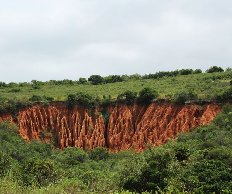 Port Elizabeth: Addo Elephant Park Shore Excursion with BBQ - FAQ