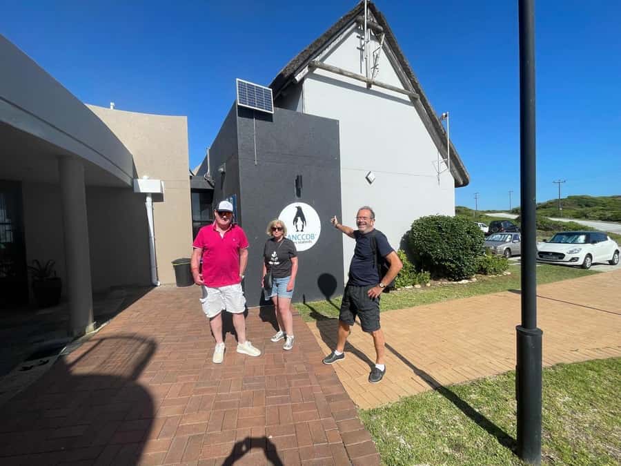 Port Elizabeth: City and Coastal Tour - Why this four-hour route works well