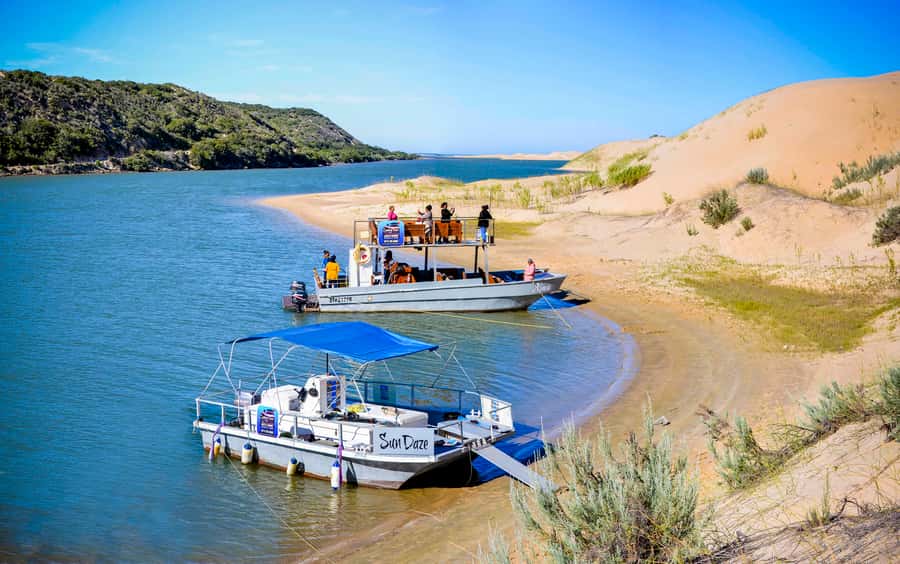 Port Elizabeth: River Cruise on the Sundays River - A quiet river outing near Port Elizabeth