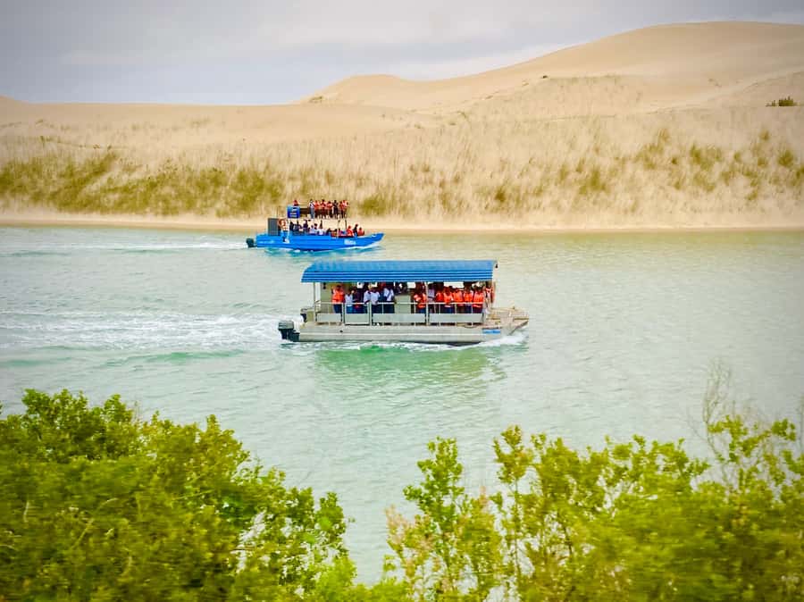 Port Elizabeth: River Cruise on the Sundays River - Bird watching along the Sundays River