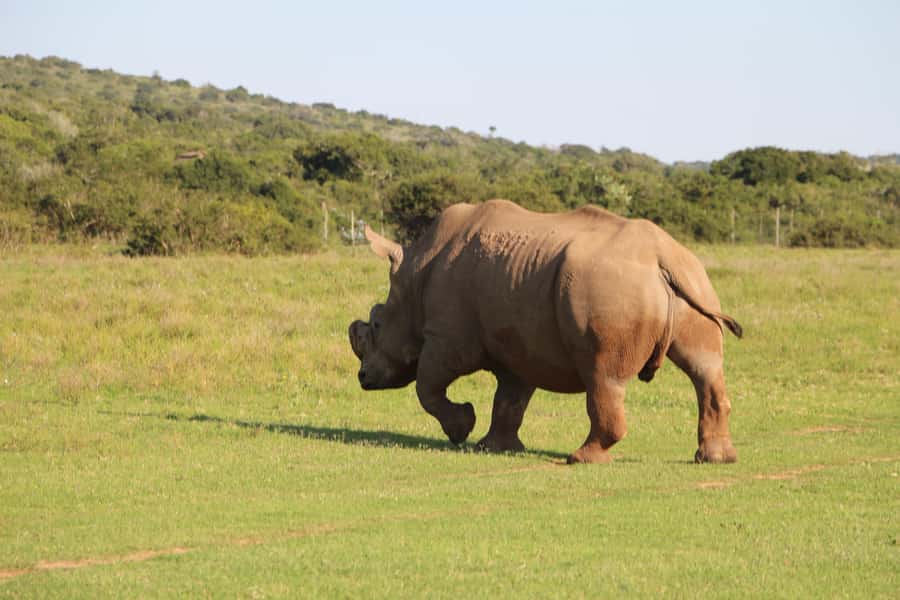 Port Elizabeth: Schotia Private Game Reserve Safari - Leaving Port Elizabeth for the reserve