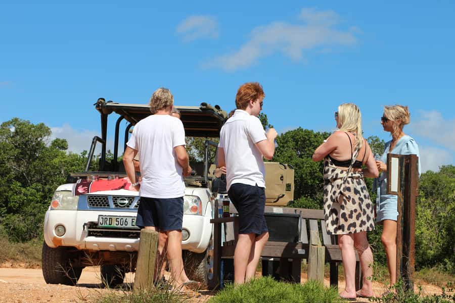Port Elizabeth: Schotia Private Game Reserve Safari - Two game drives give you two chances to find wildlife