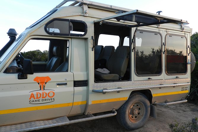 Port Elizabeth Shore Excursion: Addo Elephant Full Day Safari &"Braai"Lunch(BBQ) - Who Will Like This Shore Excursion