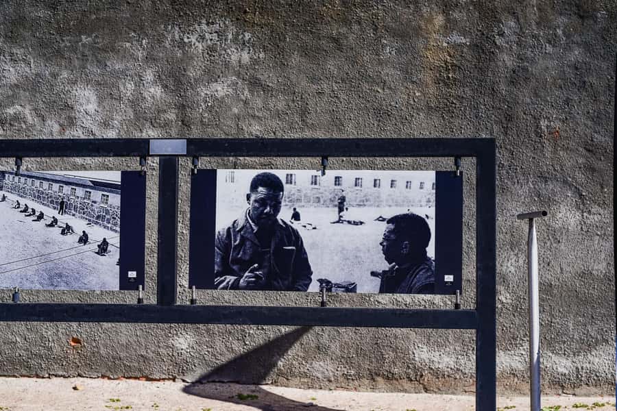 Pre-Booked: Robben Island, Bo-kaap & Table Mountain Tour - Who should book this experience
