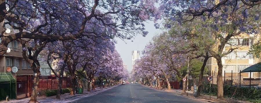 Pretoria: Pretoria City Tour and Cullinan Diamond Mine Tour - Union Buildings and Pretoria’s presidential setting