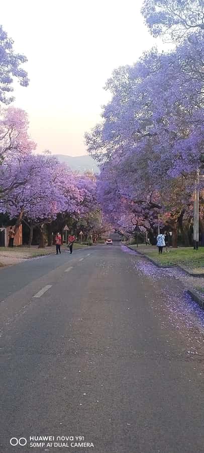 Pretoria: Pretoria City Tour and Cullinan Diamond Mine Tour - Cullinan Mine: the famous diamond and the surface tour