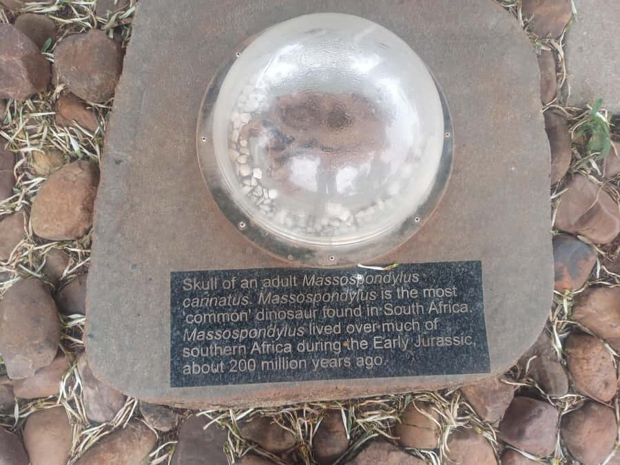 Pretoria/Sandton: Cradle of Humankind & Sterkfontein Caves - Sterkfontein Caves: where the story turns physical