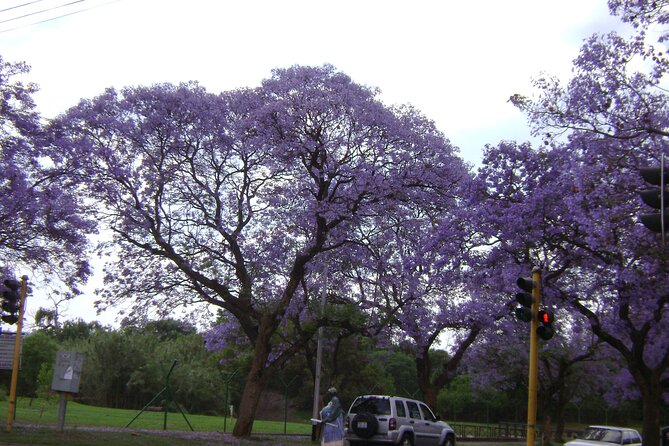 Pretoria tour, Half Day experience - City Hall, the clock tower, and Melrose House