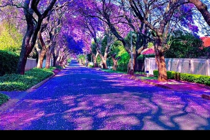 Pretoria tour, Half Day experience - Timing, transport, and physical demands