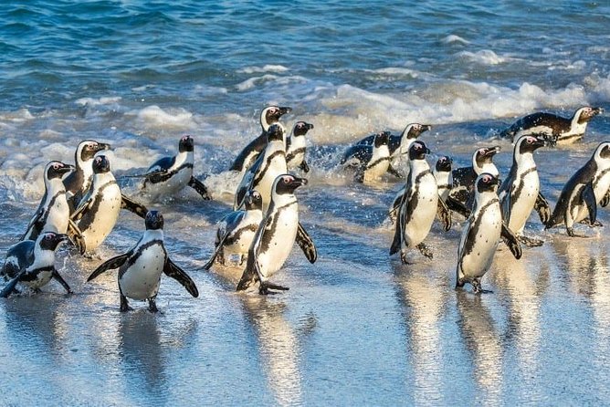 Private 2-Day Cape Town Highlights: Robben Island,Table Mountain Tickets & Wine - Bo-Kaap and Cape Town’s central history