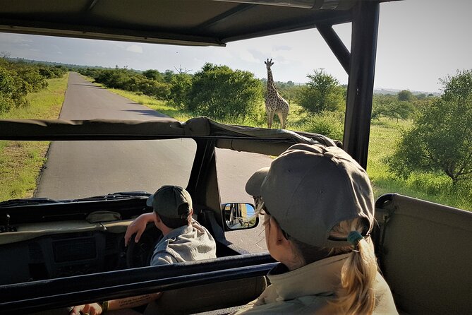 Private 4x4 Safari Tour in Kruger National Park - The Value of $115.63 Per Person