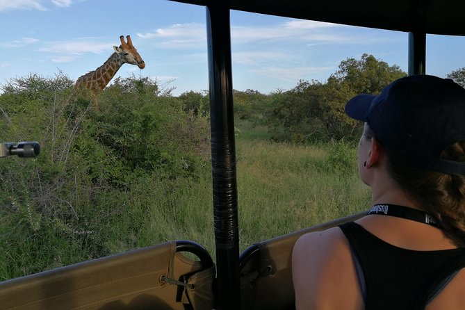 Private 5-Day Overnight Safari In Kruger Park from Skukuza Airport - Open vehicles and two pairs of searching eyes