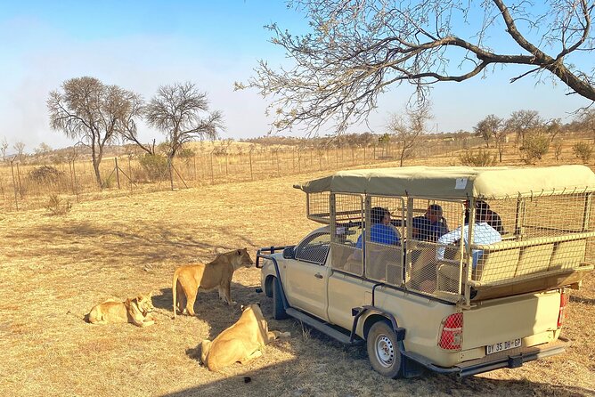 Private 5-Hour Lion Park Tour from Johannesburg or Pretoria - Cub World and the younger animals