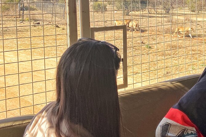 Private 5-Hour Lion Park Tour from Johannesburg or Pretoria - The one-hour game drive
