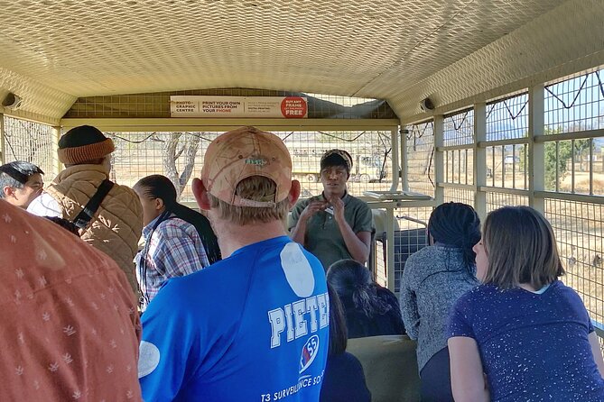 Private 5-Hour Lion Park Tour from Johannesburg or Pretoria - The Cradle of Humankind setting