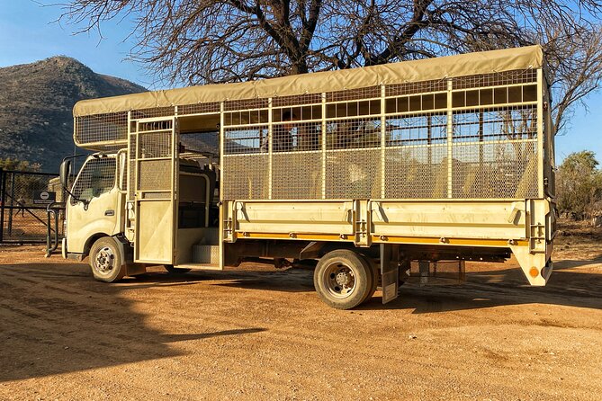 Private 5-Hour Lion Park Tour from Johannesburg or Pretoria - Lions, white lions, and the carnivore areas
