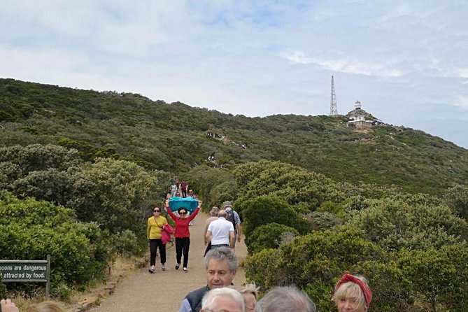 Private Cape of Good Hope Cape Point Penguin Kirstenbosch Tour. - Kirstenbosch brings plants into the coastal day