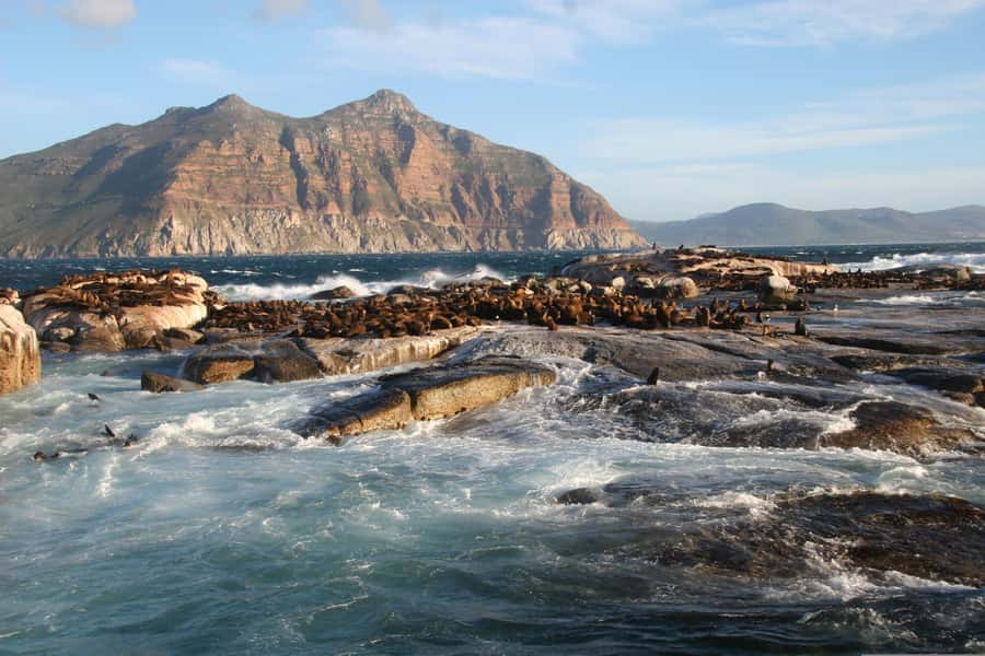 Private Cape of Good Hope Guided Tour - A full Cape Peninsula day from Cape Town