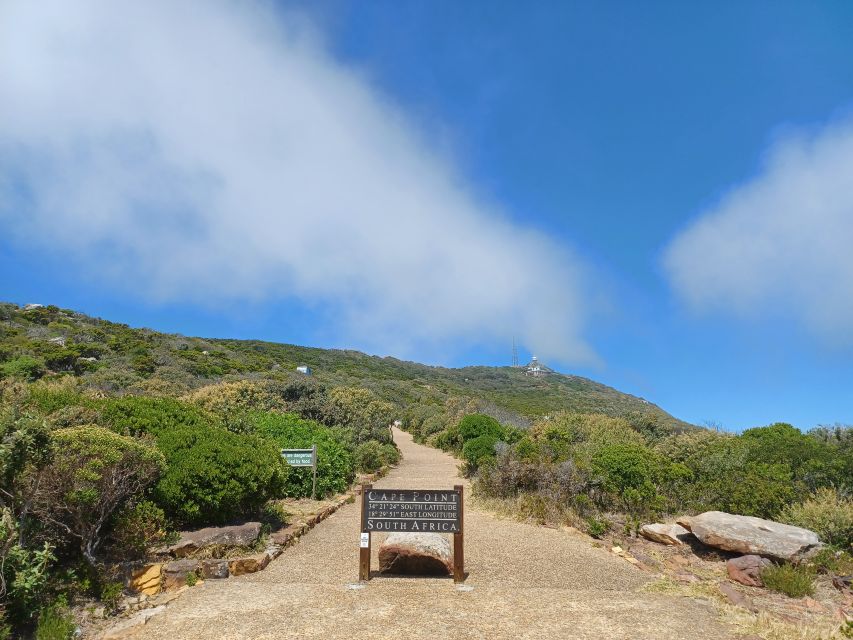 Private Cape of Good Hope Guided Tour - Hout Bay and the optional Seal Island boat