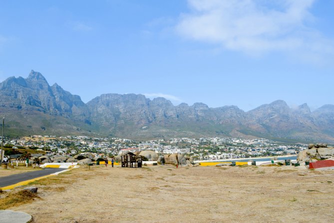 Private Cape of Good Hope Sightseeing and African Penguin Tour - Hout Bay offers seals, coffee, and a choice
