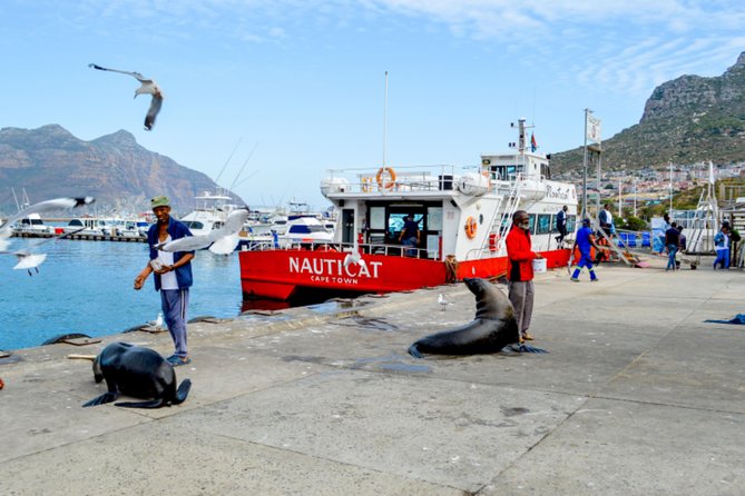 Private Cape of Good Hope Sightseeing and African Penguin Tour - Chapmans Peak is the road highlight