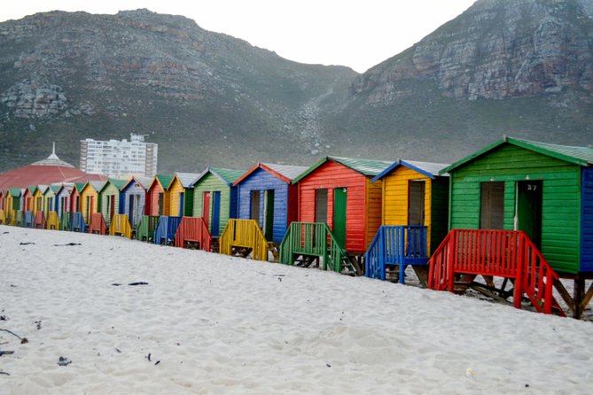 Private Cape of Good Hope Sightseeing and African Penguin Tour - Cape Point brings the main nature experience