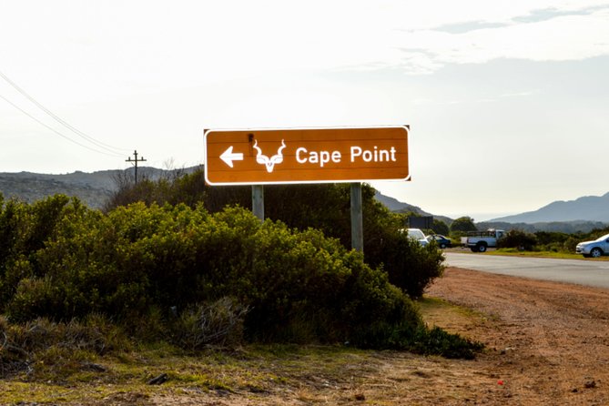 Private Cape of Good Hope Sightseeing and African Penguin Tour - Boulders Beach is the must-see wildlife stop