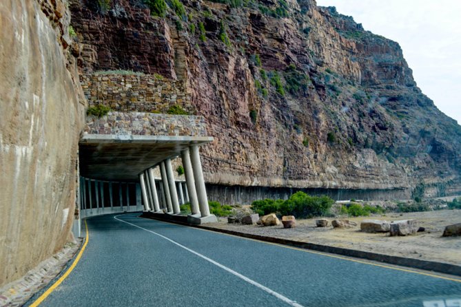 Private Cape of Good Hope Sightseeing and African Penguin Tour - Simon’s Town, Kalk Bay, and Muizenberg fill out False Bay