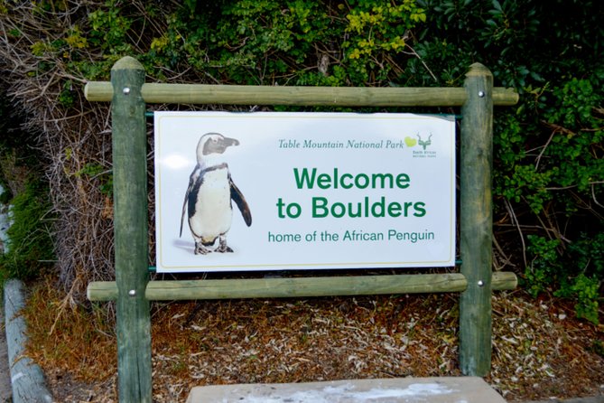 Private Cape of Good Hope Sightseeing and African Penguin Tour - Bo-Kaap starts the day with color and history