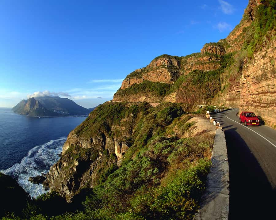 Private Cape Peninsula Half-Day Tour with Penguins - Pickup from the Waterfront, City Bowl, or nearby hotels