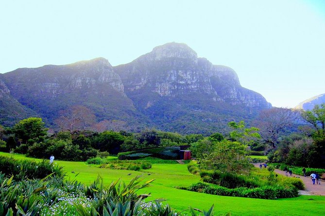 Private Cape Peninsula + Kirstenbosch Garden Full Day Guided Tour - Chapman’s Peak Drive and the Twelve Apostles