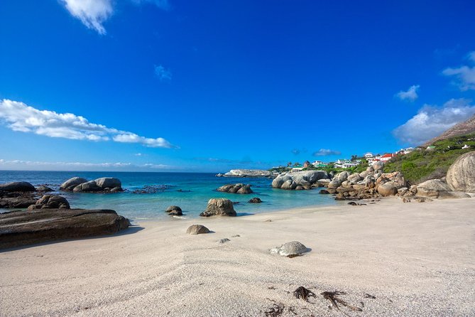 Private Cape Peninsula + Kirstenbosch Garden Full Day Guided Tour - Cape Point Nature Reserve and the lighthouse