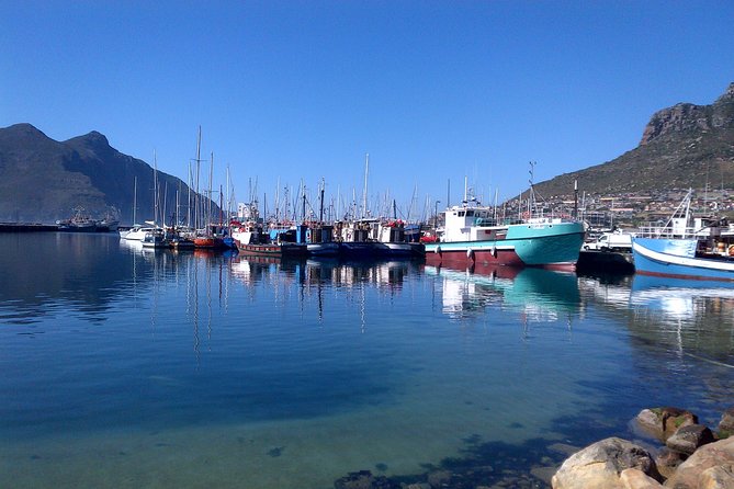 Private Cape Peninsula + Kirstenbosch Garden Full Day Guided Tour - Lunch at Scarborough and the Misty Cliffs route