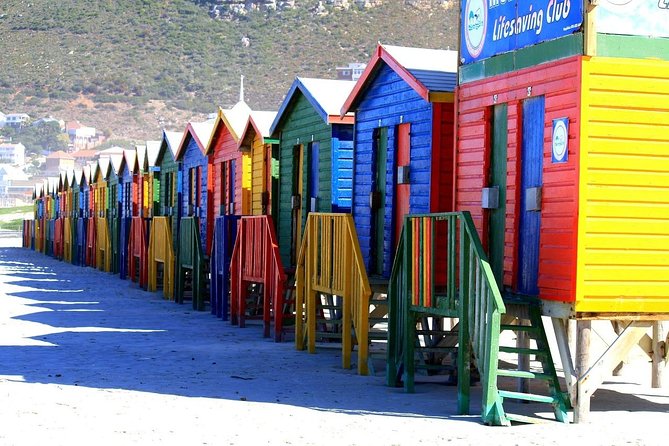 Private Cape Peninsula Tour, With Close Range Penguin Encounter From Cape Town. - Cape Point Nature Reserve needs real time