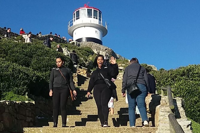 Private Cape Point Penguins Tour-Exploring the Cape Peninsula F/D - Cape Point Nature Reserve and its two lighthouses