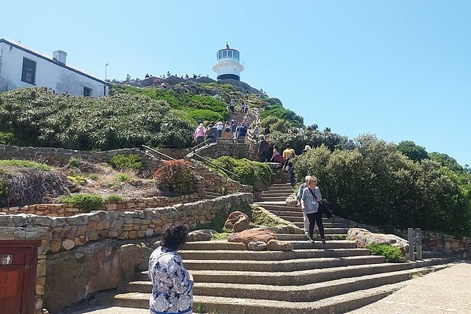 Private Cape Point Penguins Tour-Exploring the Cape Peninsula F/D - The Cape of Good Hope sign and a larger story
