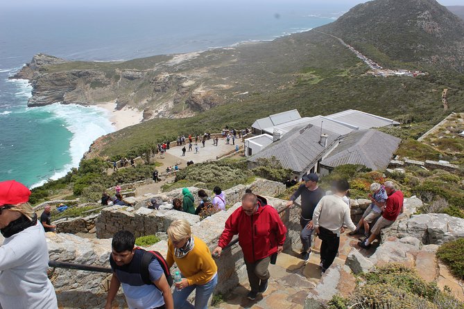 Private Cape Point Penguins Tour-Exploring the Cape Peninsula F/D - Bo-Kaap, color and Cape Town’s layered past