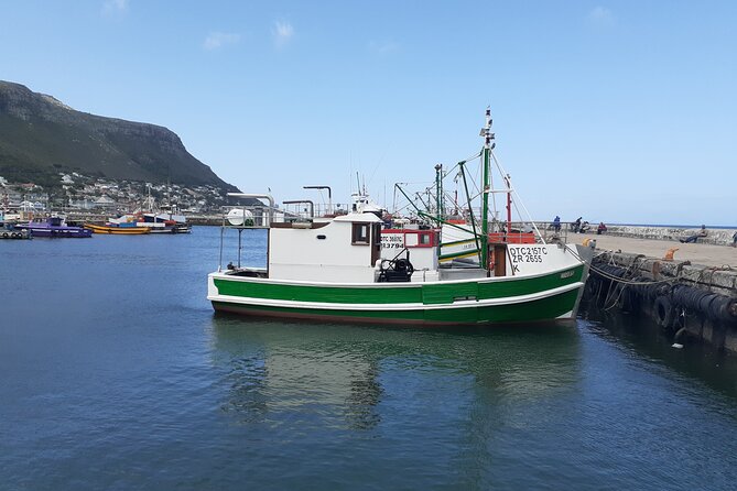 Private Cape Point / Peninsula Tour - Why this private peninsula day works so well