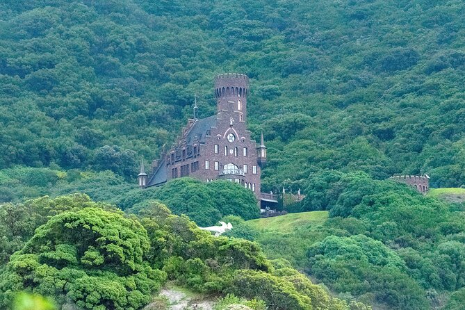 Private Cape Point / Peninsula Tour - Hout Bay and Camps Bay on the return route