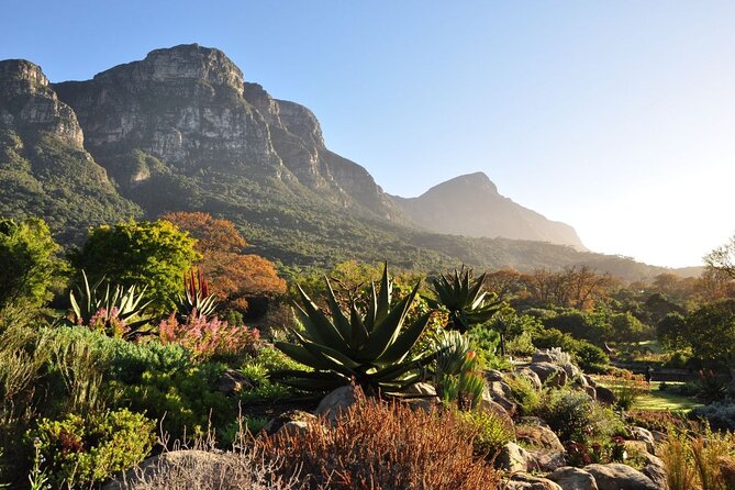 Private Cape Town City Tour table Mountain with wine tasting - Kirstenbosch: two hours among South African plants