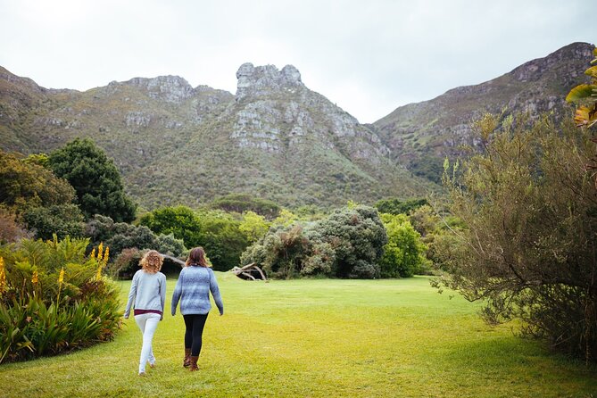 Private Cape Town City Tour table Mountain with wine tasting - World of Birds in Hout Bay