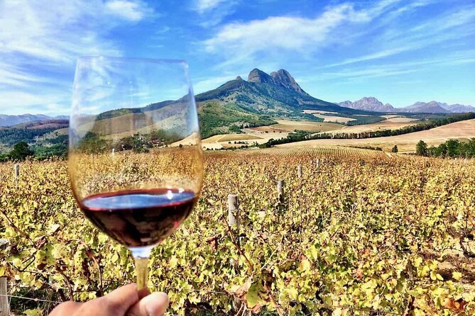 Private Cape Town City Tour table Mountain with wine tasting - Bo-Kaap: color with serious history