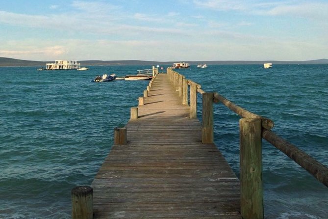 Private Cape Towns West Coastal Tour with Quad Bike - Atlantis dunes: the main event
