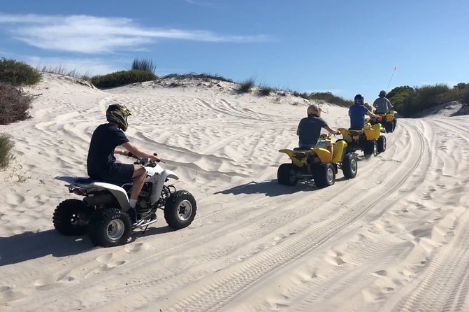 Private Cape Towns West Coastal Tour with Quad Bike - West Coast National Park after the sand