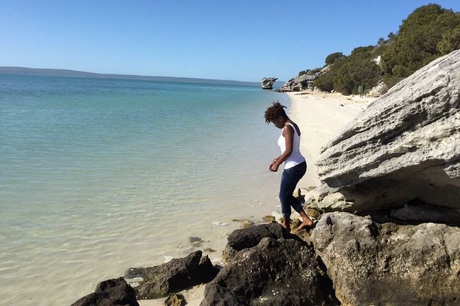 Private Cape Towns West Coastal Tour with Quad Bike - Comfort, Tingo, and the human side of the tour